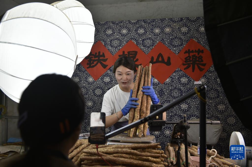免费彩金